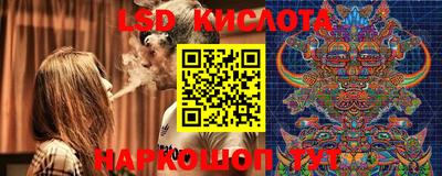 PSILOCYBIN Северобайкальск