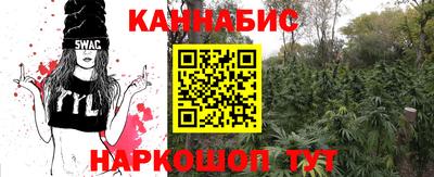 PSILOCYBIN Северобайкальск