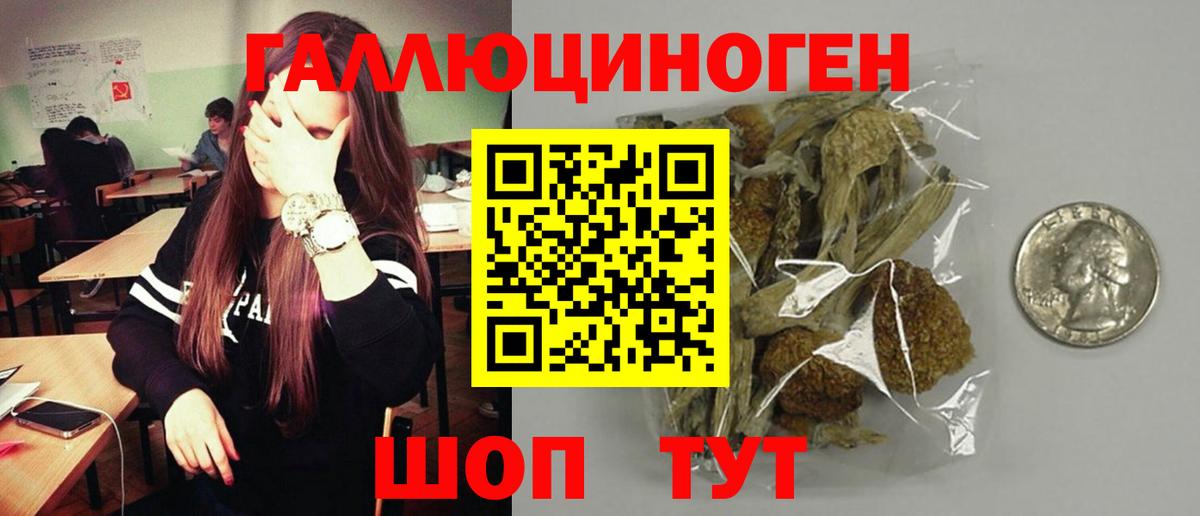 Псилоцибиновые грибы ЛСД  Галлюциногенные грибы мицелий  Россошь  Вход с VPN 
